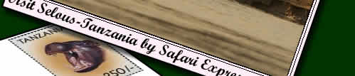 To get to Selous the best way is by the Selous train. Click to find out how to get to Selous on the Safari Express Train.